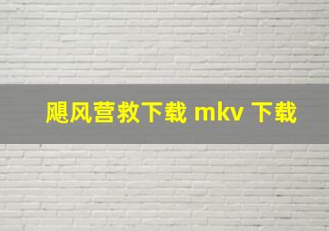 飓风营救下载 mkv 下载